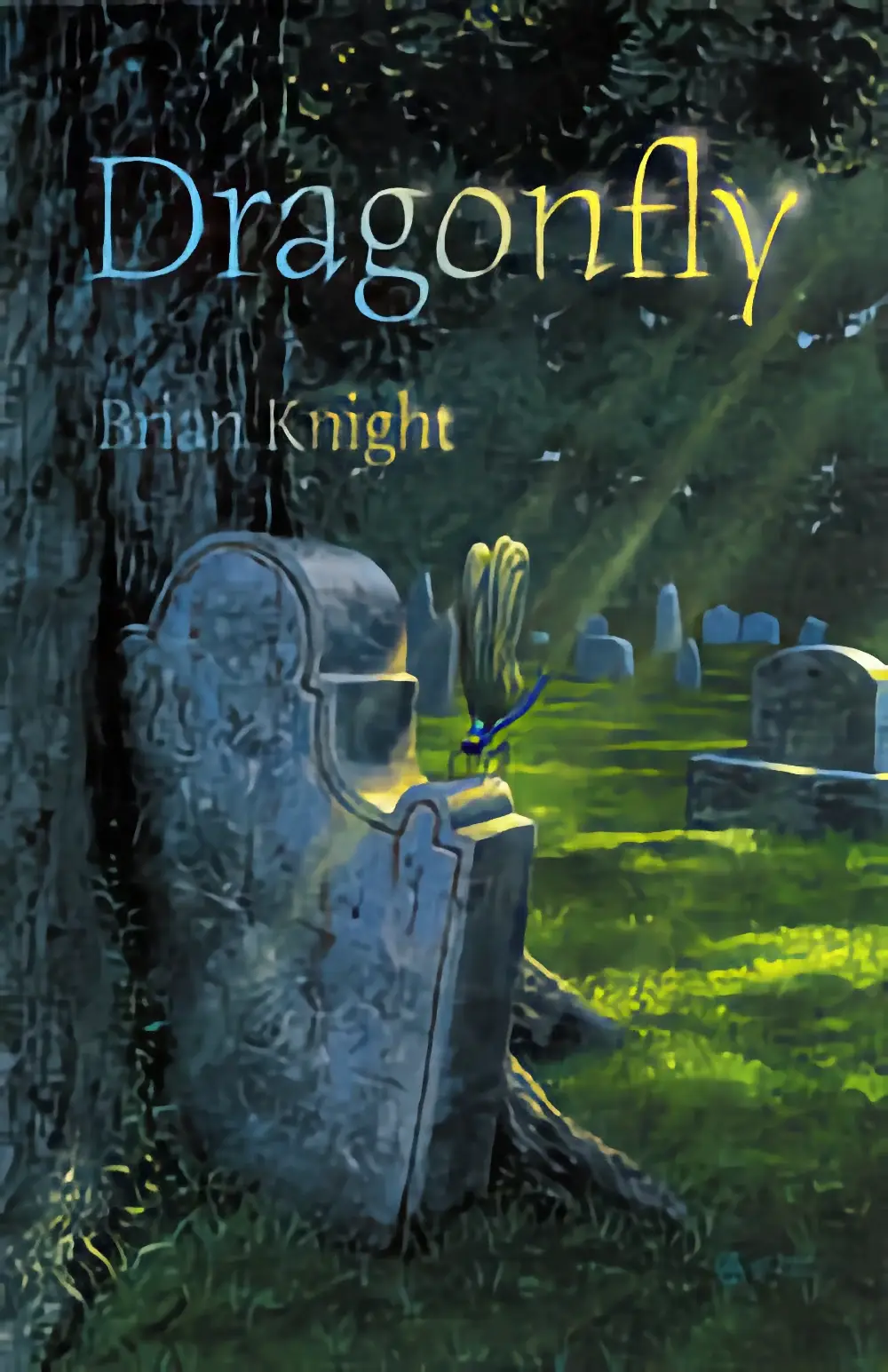 Dragonfly by Brian Knight